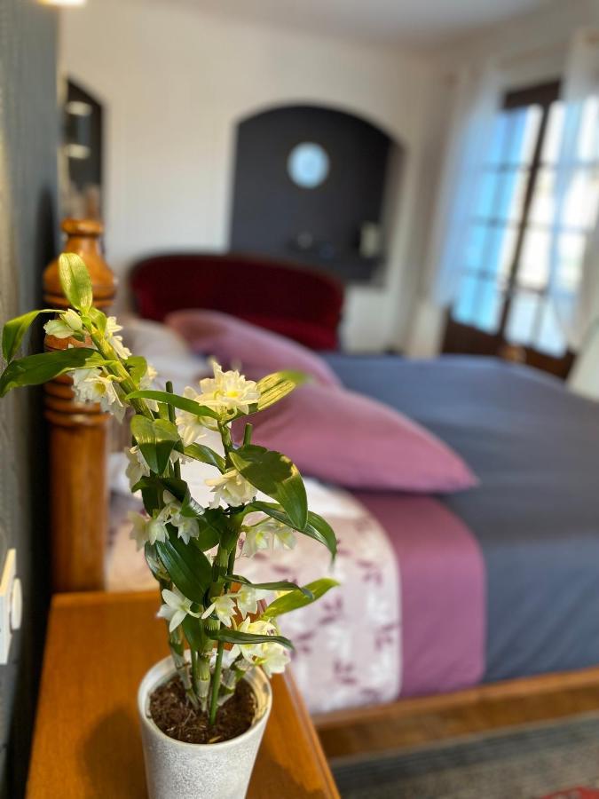 Bed and Breakfast Domaine De La Provencale Saint-Didier-de-la-Tour Екстер'єр фото